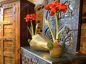 Style home