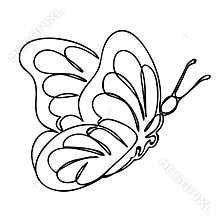 Beautiful flying butterfly is drawn in one line. Line art