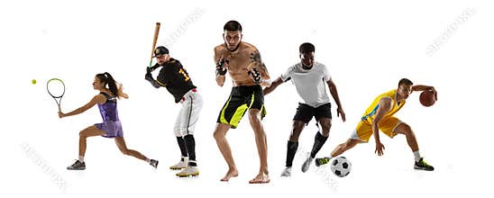 Sport collage. MMA, tennis, soccer football, baseball, basketball players posing isolated on white studio background.