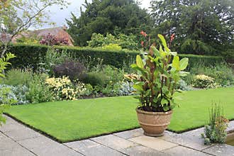 Lawn And Border At Tintinhull Gardens, Somerset, UK