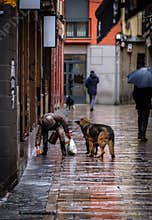 woman picks up poop from her dog, city walk