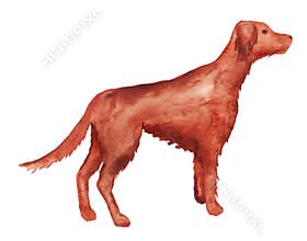 Watercolor abstract cartoon dog.