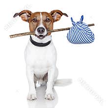 Dog with a stick