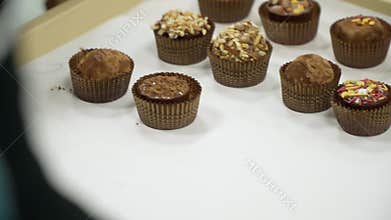 hand lays out chocolate muffins on a tray.