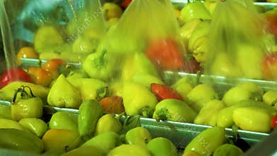 Cannery. Pepper on a conveyor. Technological processes of canning. Washing, cleaning, pasteurization. Automatic line for
