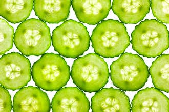 Slices of fresh Cucumber / background / back lit