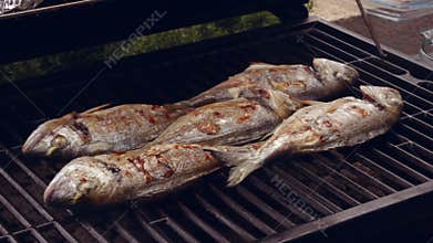 Cooking fish on a grill the traditional way