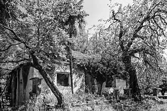 Dilapidated and destroyed house. black and white photo