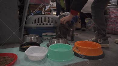 March 15, 2022 Berlin, Germany. Main Station. Berlin volunteers help refugees from Ukraine and their animals.