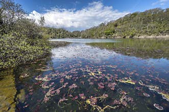 Bosherston Lakes and ponds in South Wales