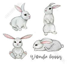 Watercolor rabbit clipart, cute bunny isolated clipart, wild animals set, easter bunny clipart, baby decor illustration