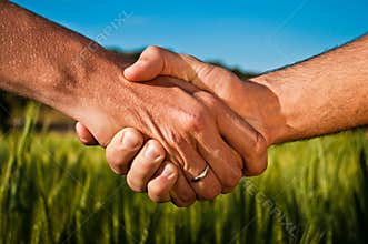 Handshake in the wheat field