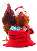 Rooster and chicken in a Christmas hat with a bag with gifts