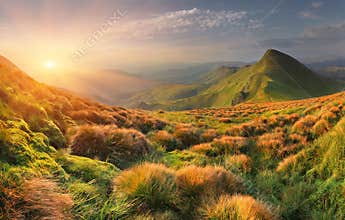 Summer landscape in the mountains