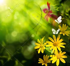 Art summer background. Flower and butterfly