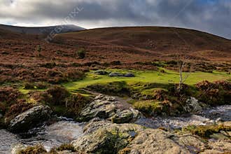 River Dargle, Glensoulan Valley, close to powerscourt waterfall, Wicklow way, Ireland. Europe 2020