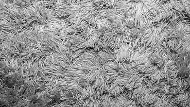 The background of a fleecy carpet, lowercase threads, the texture of a fleecy white carpet.