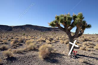 White Wooden Cross in Desert