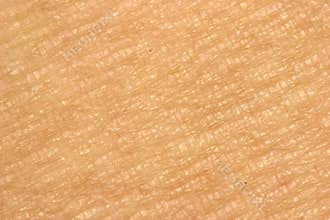 Skin close-up
