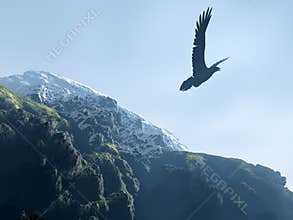 Silhouette of an eagle soaring above mountains