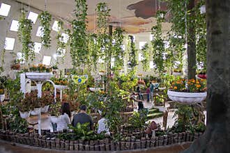 Inside one of the dooms of Dubai butterfly garden. Sightseeing