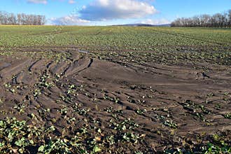 soil erosion wasted field