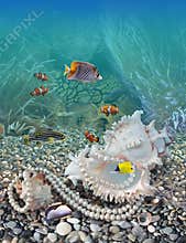 Tropical fishes
