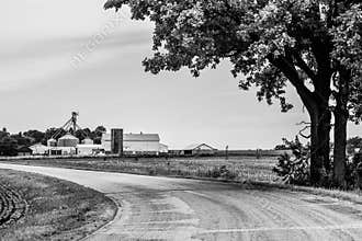 Country Road Leading to Farm in Wisconsin