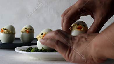 Arranging Devilled egg chicks on a plate prepared as Easter Eggs. Traditional celebration of making eggs as the symbol of new life