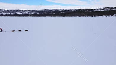 People driving a dog sled pulled by a Alaskan huskies on a frozen snowy lake.