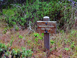 Please stay on trail sign