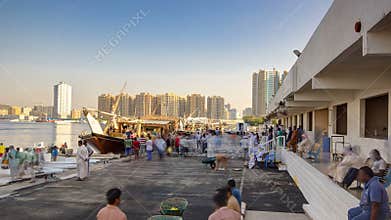 Fish market in the emirate of Ajman timelapse. United Arab Emirates