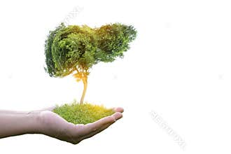 Realistic liver images are human  green tree shapes about diseases and cirrhosis environment