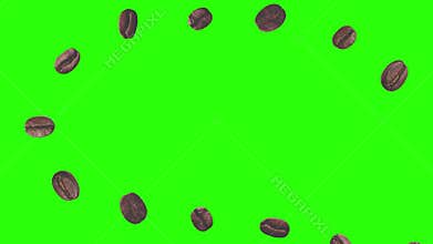 Realistic coffee beans animation graphic element on green screen chroma key