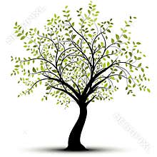 Green vector tree, white background