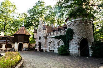 Fairy tale castle and village houses