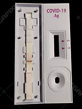 Covid-19 Rapid Antigen Test Stick With Negative Result