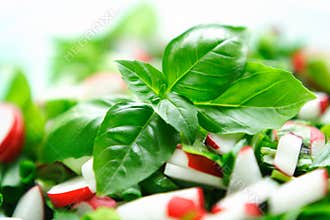 Fresh vegetables salat