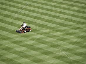 A lot to mow.