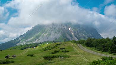 Beautiful alpine landscape with cows, clouds and green grass with in Switzerland. Timelapse 4K.