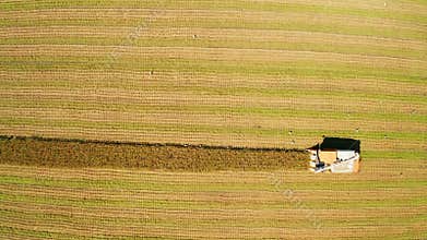 Aerial view of Combine harvester machine with rice paddy field