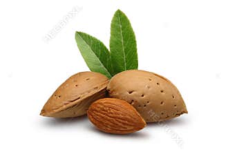 Almond