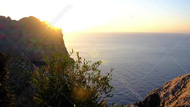 Rugged Mediterranean Coast In Mallorca