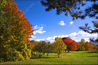 Panoramic view of the park in autumn with blue sky background in fall