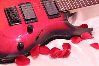 Guitar and Rose Pedals