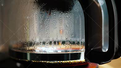 Steam Coffee Makers Carafe