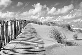 Dune landscape and fence in black and white