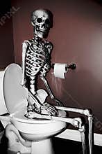 Skeleton on the Toilet