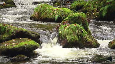 Natural stream