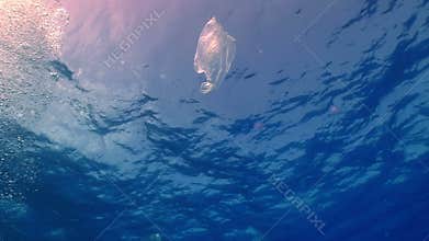 Plastic bag floating in ocean